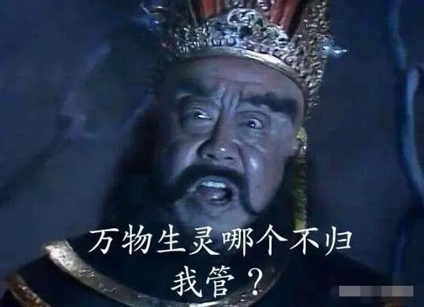 我管它叫“灵魂扫尘”
