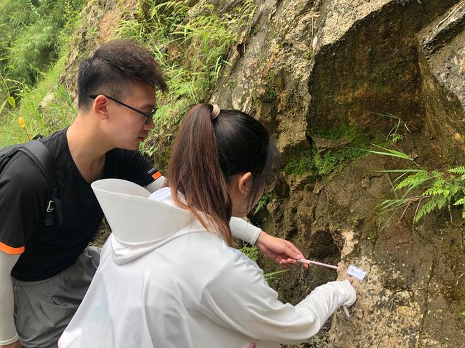 初中学生户外地质实践观察岩石活动照