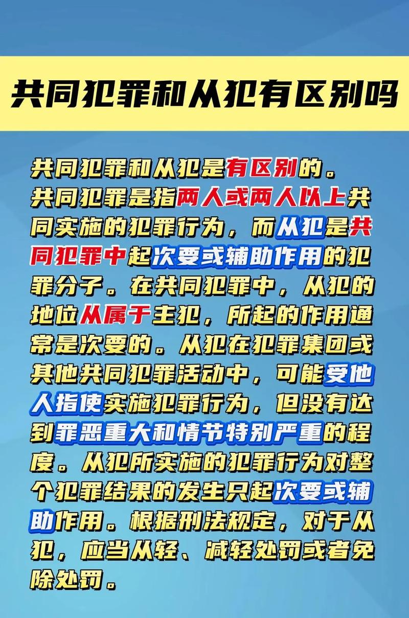 诈骗罪共同犯罪主从犯认定证据对比表