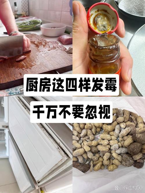 厨房橱柜受潮发霉的干货食材