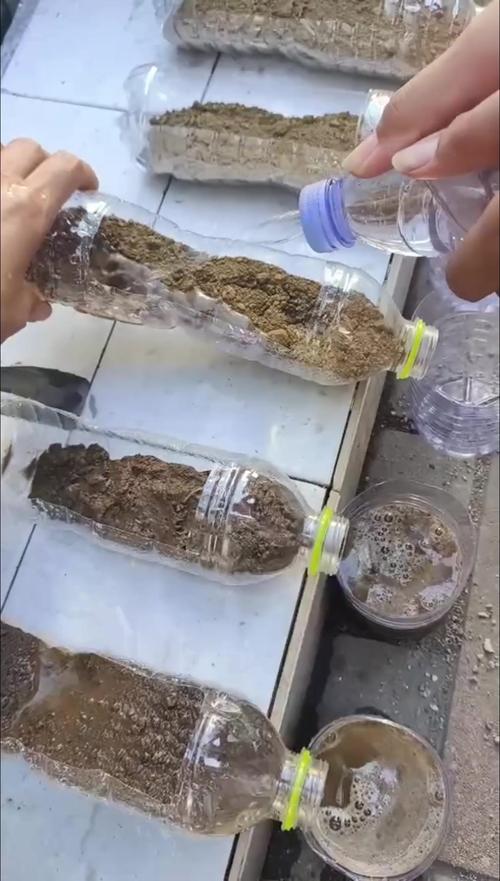 花盆水土流失对比实验图