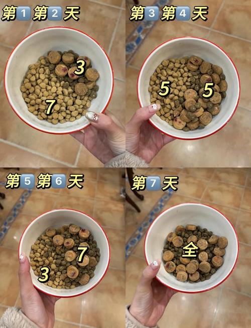 手绘7天换粮比例过渡参考示意图