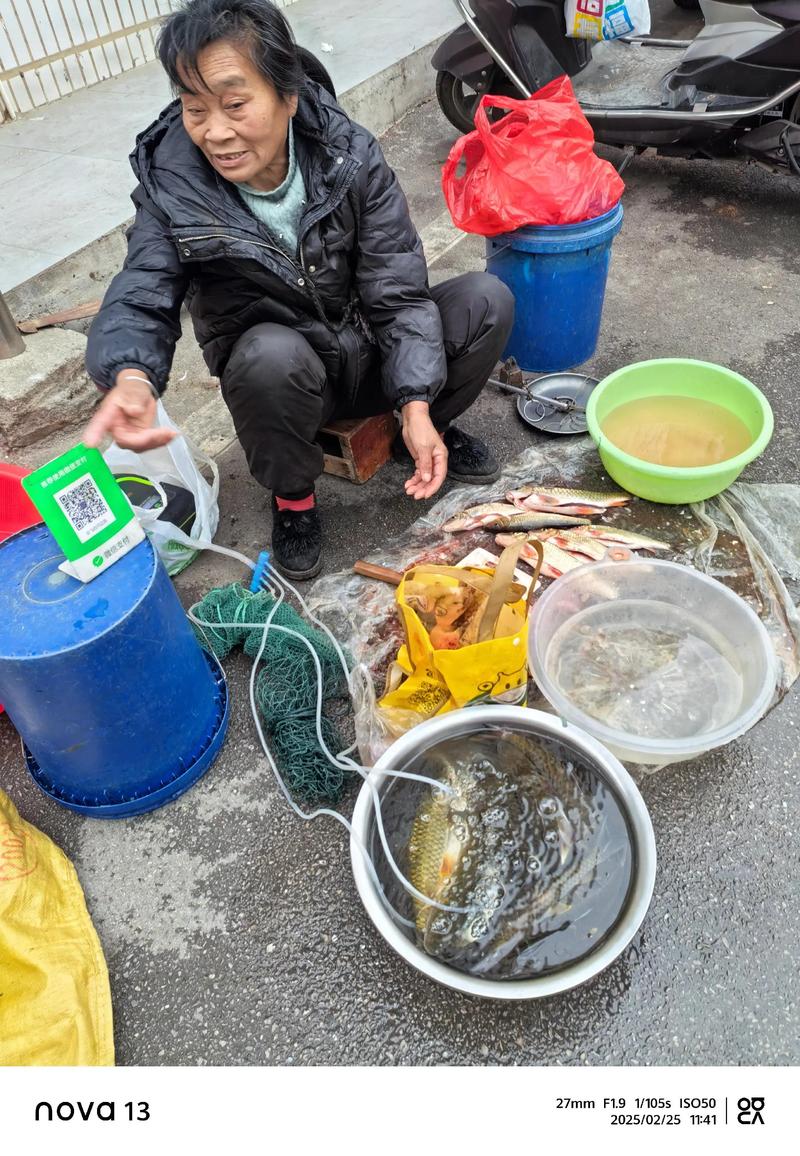 街头摄影师在菜市场拍摄卖鱼摊主