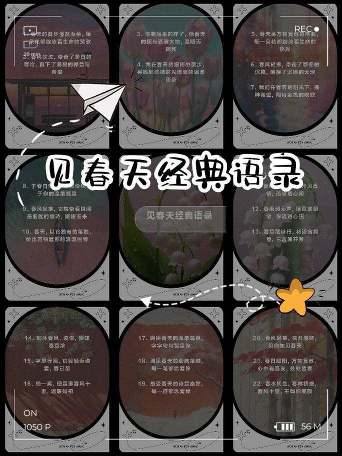 五、结语:在春天里与历史对话