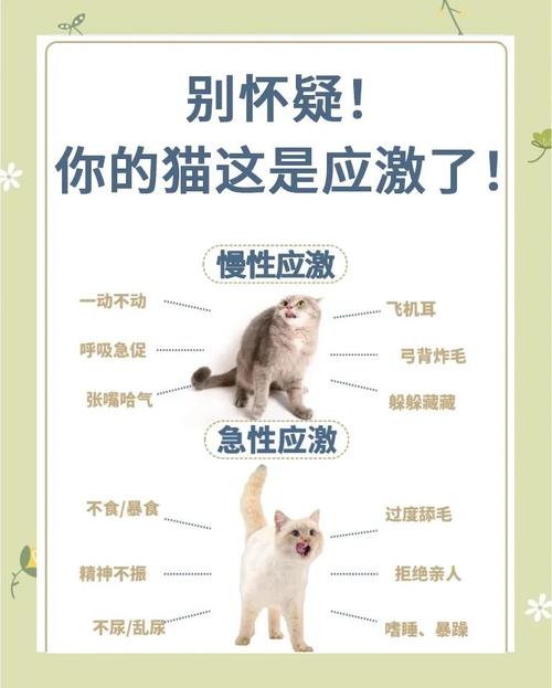 猫咪应激警告状态身体示意图
