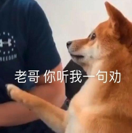 最后,听我一句劝
