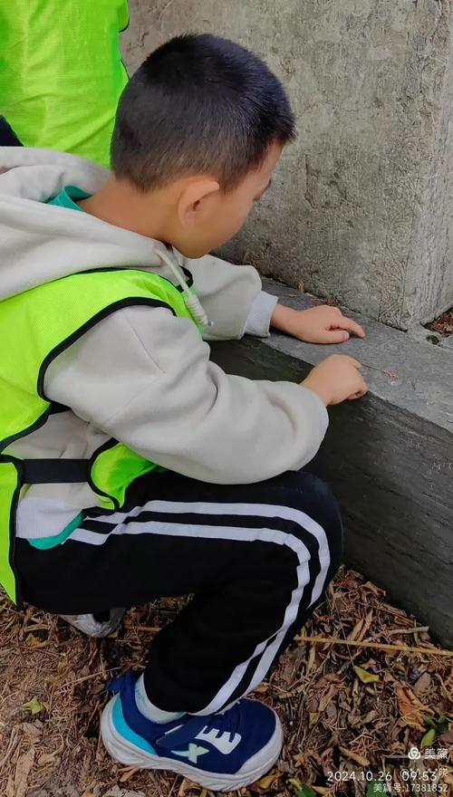 中小学生户外自然探究蹲姿观察场景