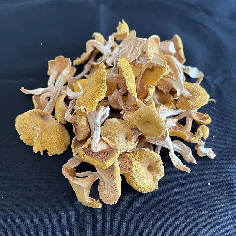 干制菌菇干货厨房摆放展示图