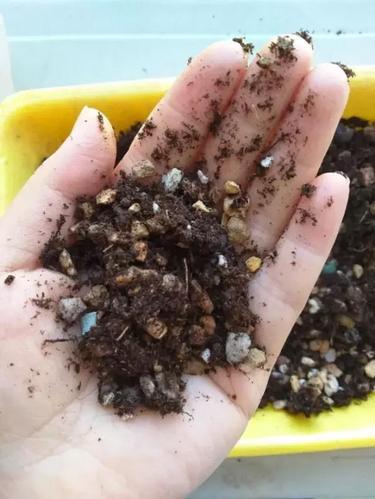 花盆内部陶粒排水层结构图
