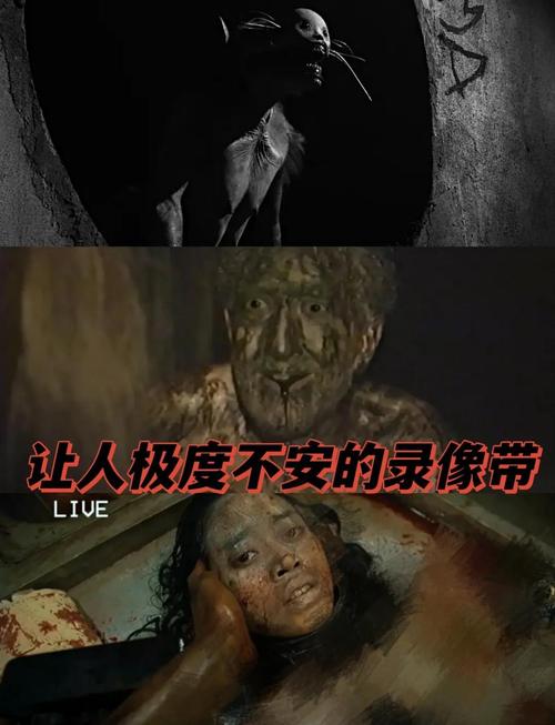 那些让你半夜惊醒的“伪缺陷”和真实魔鬼