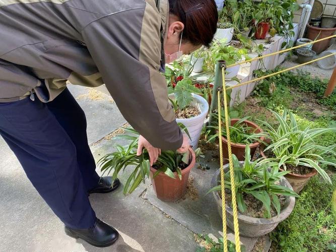 收到快递短信时人突然停下浇花动作的生活化抓拍