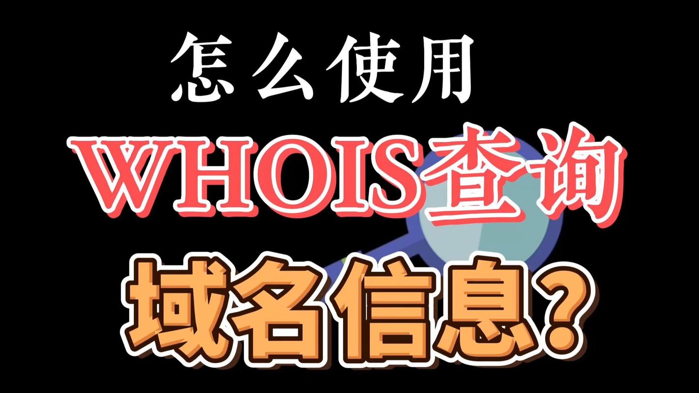 WHOIS域名注册人信息查询界面示例