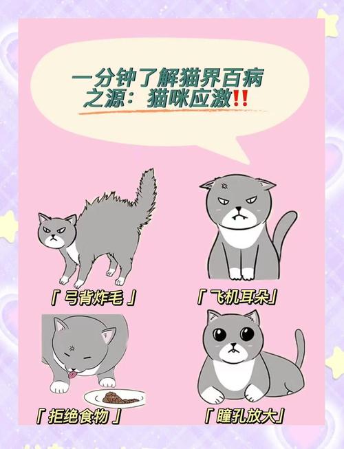 宠物应激,比你想的更隐蔽