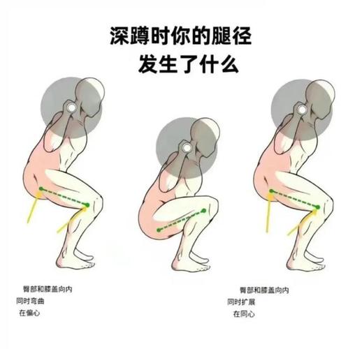 正确屈膝下蹲搬运低处物品示意图