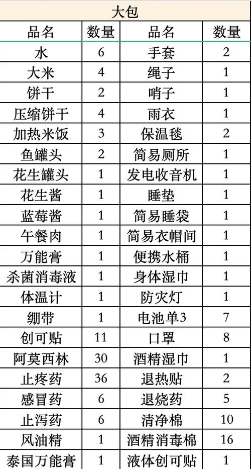 家庭应急包内物品平铺展示清单