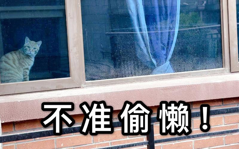 装复验证别偷懒，这两步做错等于白修