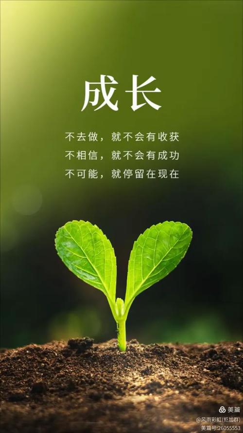 留一点缝隙给动机生长