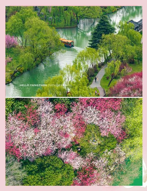 扬州瘦西湖长堤春柳琼花盛开实景