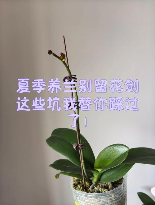 这些坑,我替你踩过了