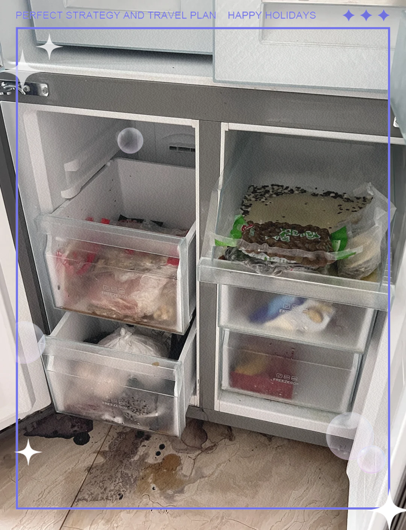 冰箱内杂乱场景与腐烂食物