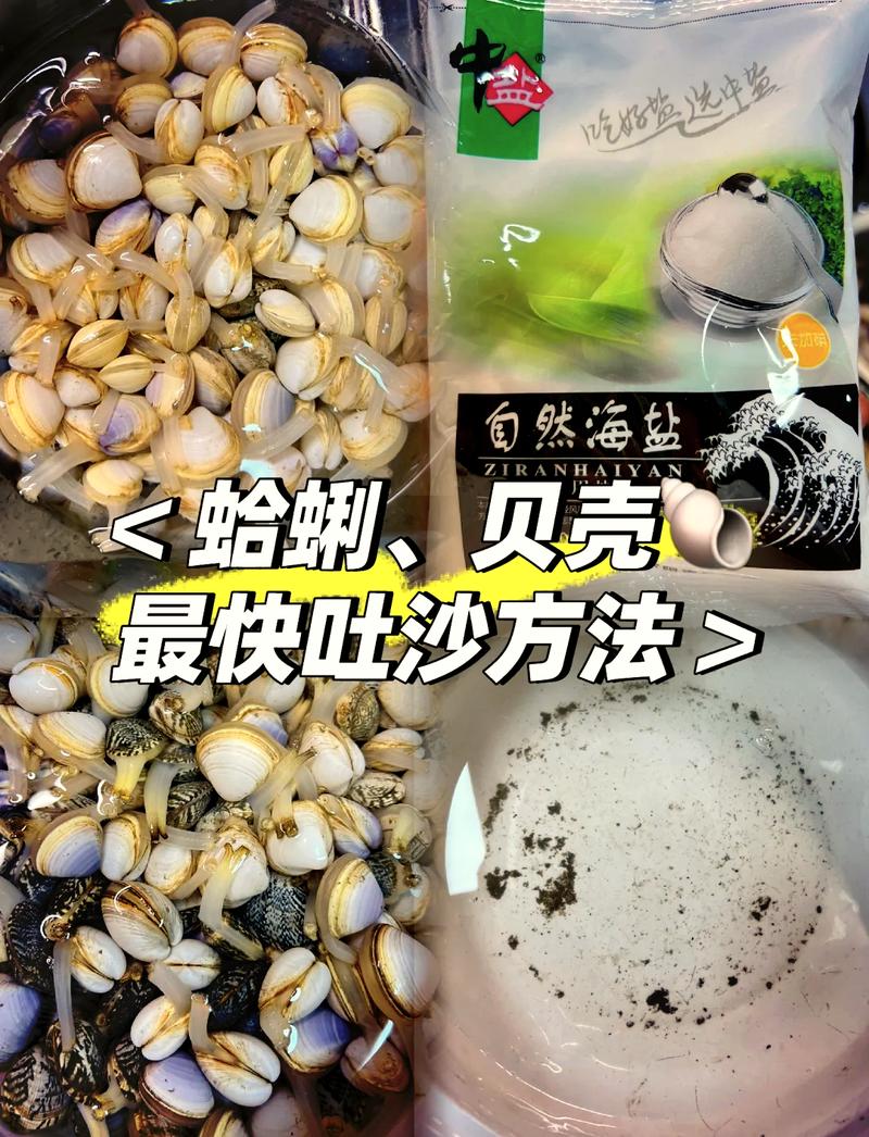 海鲜的倔强:贝类吐沙是场耐性战