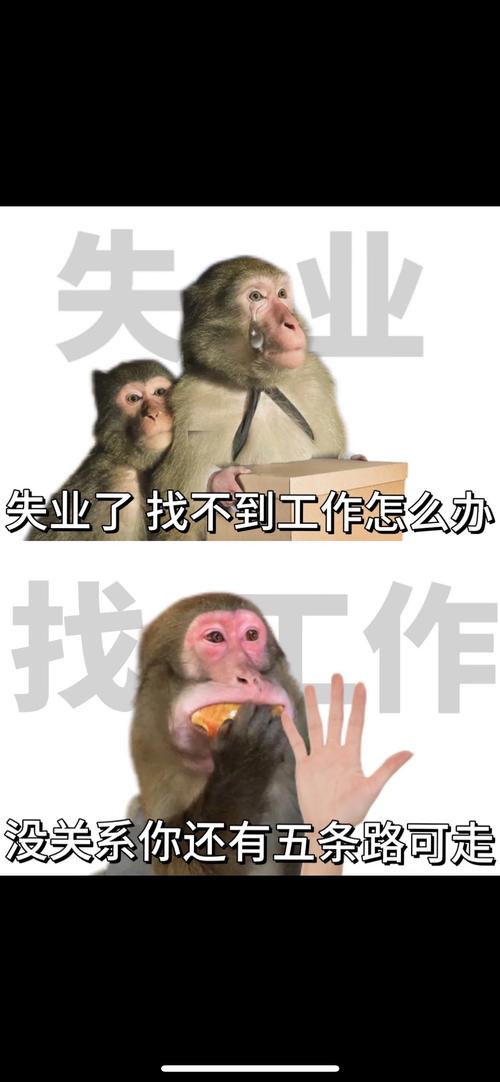 企业面试官无奈摇头表情