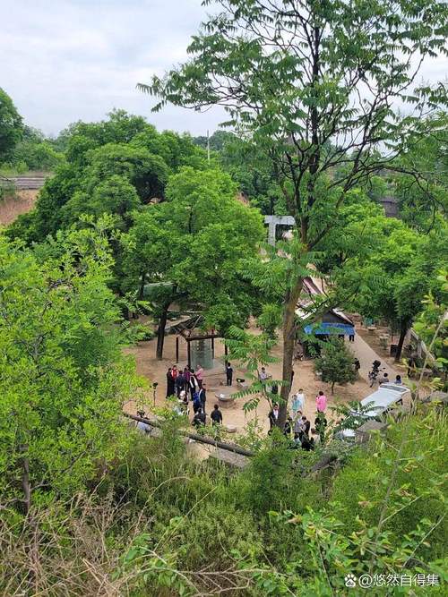 去张家寨，这些坑别踩