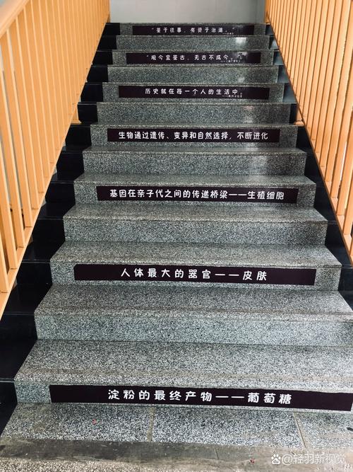 拍摄内容合法传播范围阶梯图