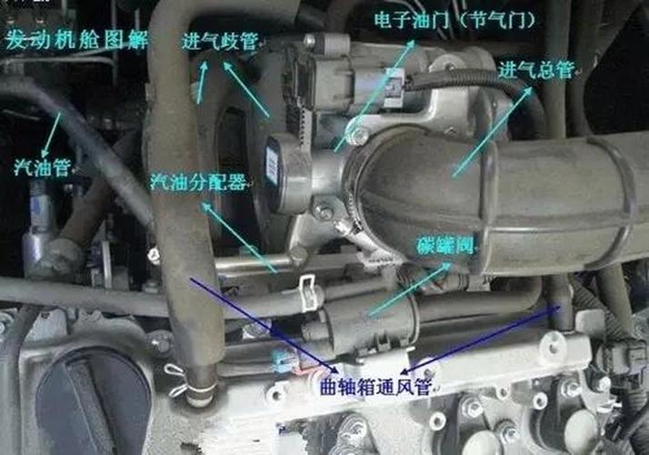 家用车进气歧管车主自检位置示意图