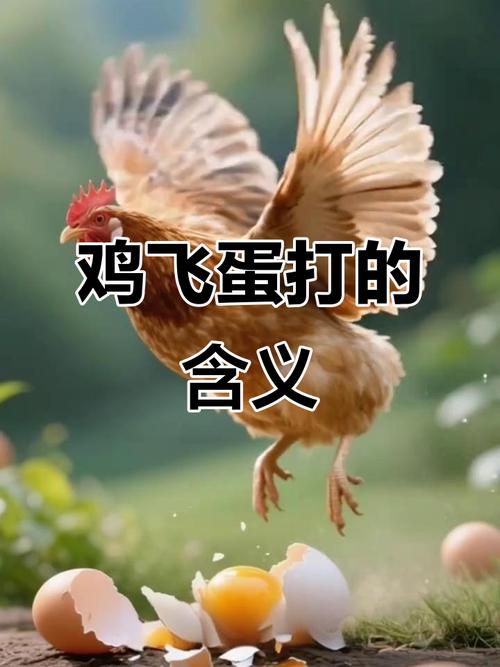 现实里的鸡飞蛋打:为什么有些防错装置形同虚设?