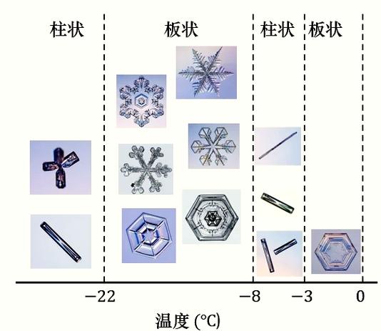 冻干过程中冰晶升华显微示意图