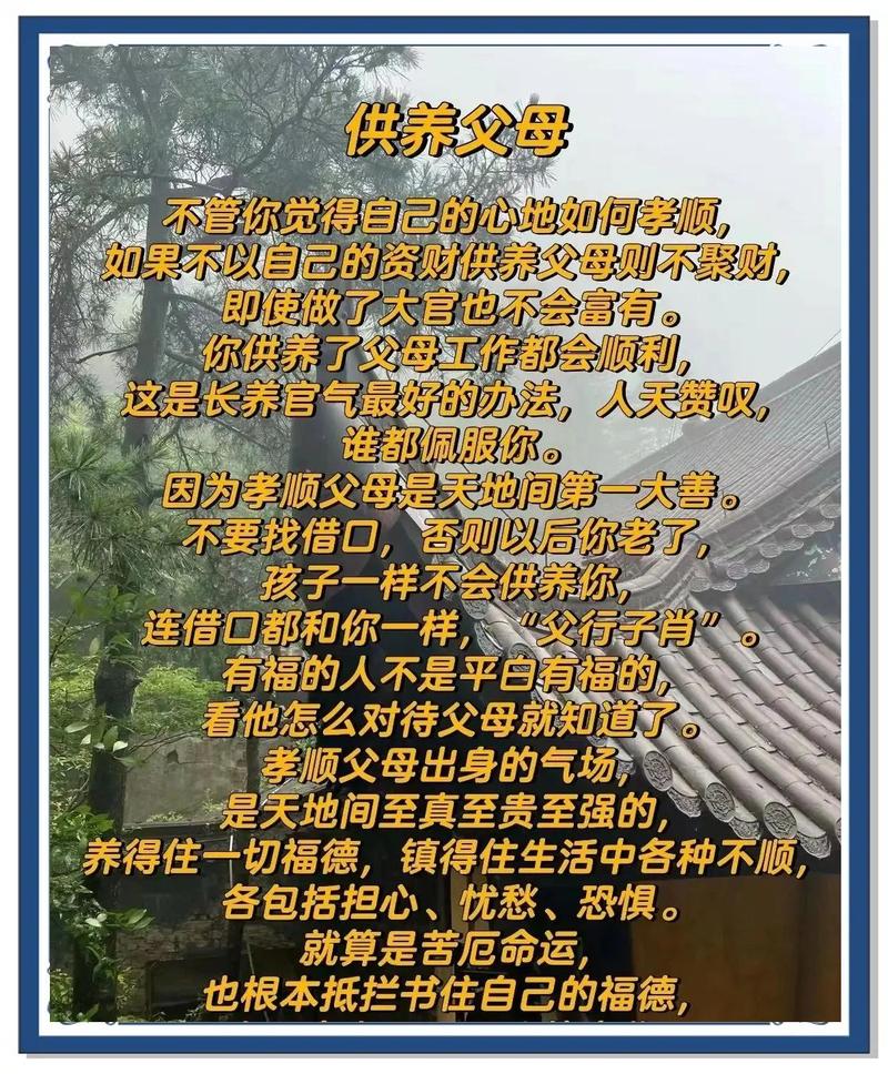 别拿别人的标准，绑自己的孝