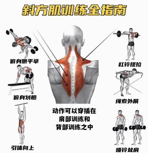 地铁通勤斜方肌放松动作示意图