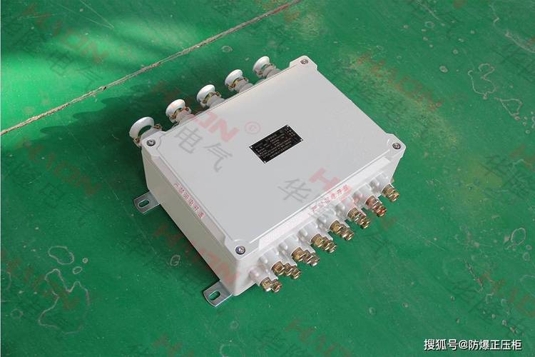 石化工厂Profibus PA本安仪表接线箱