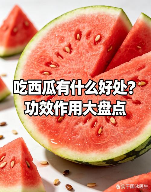 人体汗液成分组成示意图
