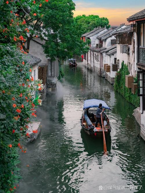 江南水乡古镇周庄北栅住户水圳汰青菜