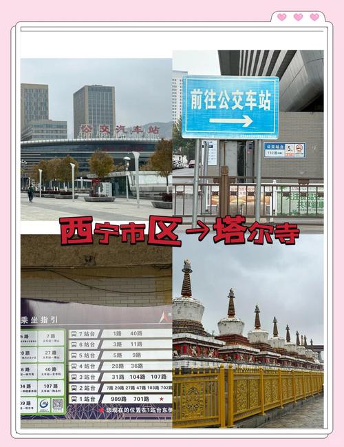 西宁到塔尔寺直达班车上客点实拍