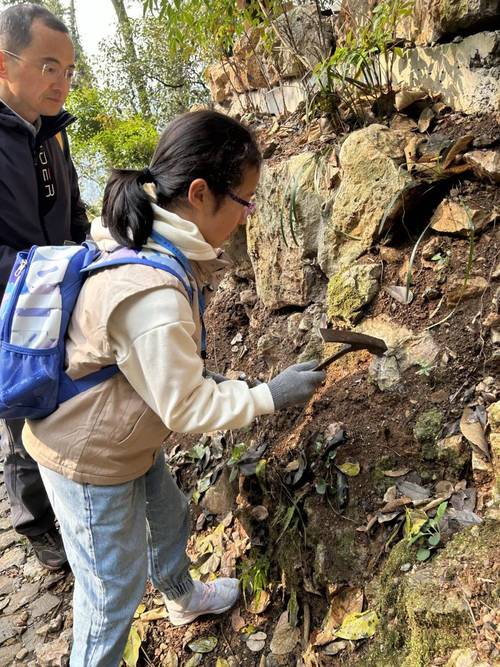 学生野外地理考察观察岩层