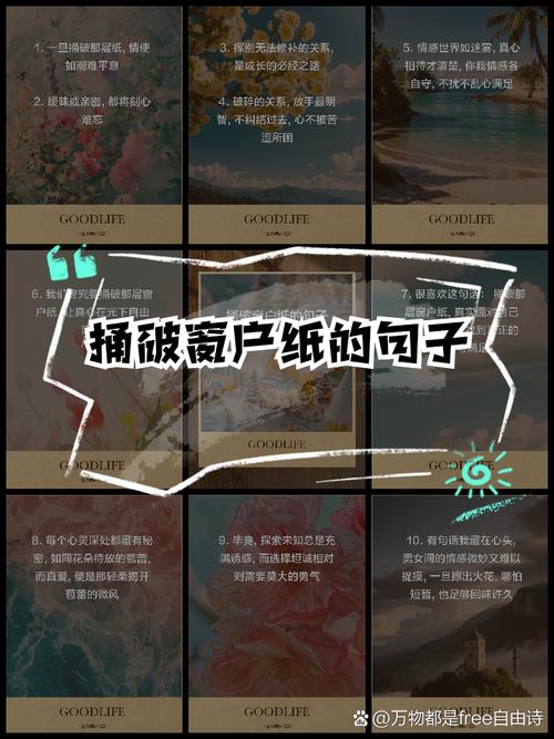 进口替代热下，藏着没捅破的窗户纸