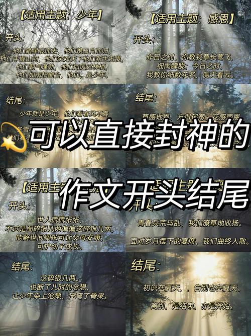 入手前，我以为它是神