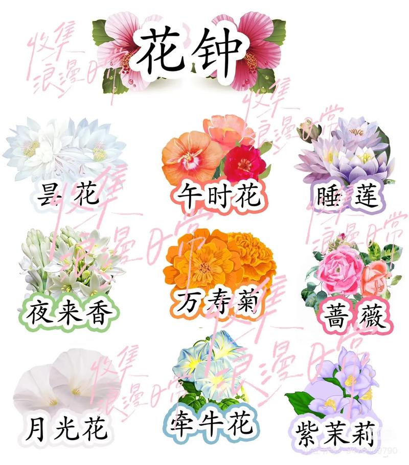 一天里,你花最多时间在哪个姿势上?