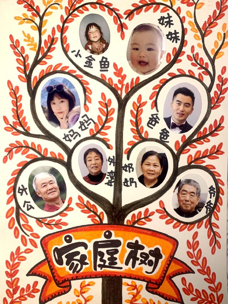 照片裁剪家族树贴纸手工