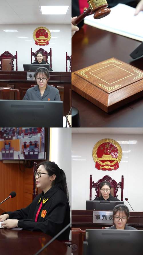 中国法院法庭法官法律适用裁判笔记实拍