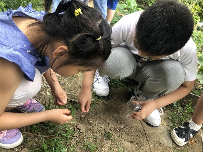 工业园区亲子开放日孩子蹲地看蚂蚁实拍