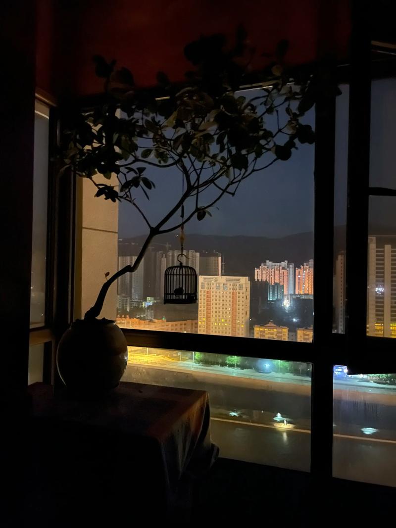 一个人坐在窗台上，窗外是深夜的城市灯光，室内昏暗，背影显得孤独但坚定