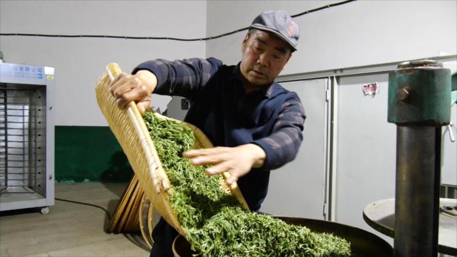 湖北南漳茶农手工炒制磨坪贡茶场景