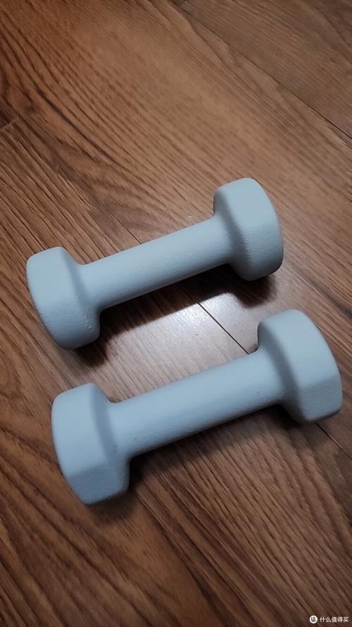 客厅家用一对1kg轻哑铃