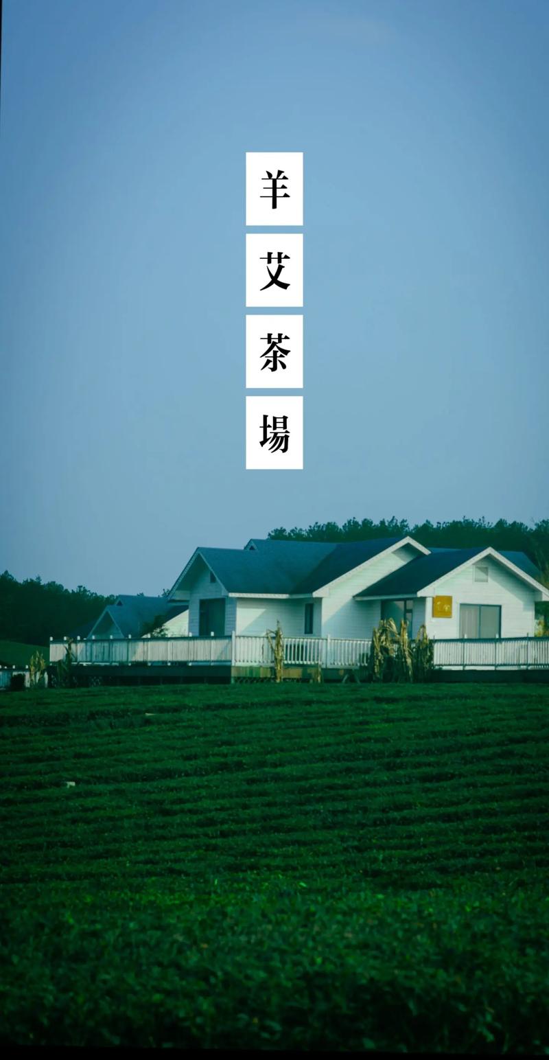羊艾茶场几何绿浪