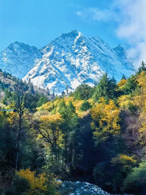 川西秋季彩林与雪山