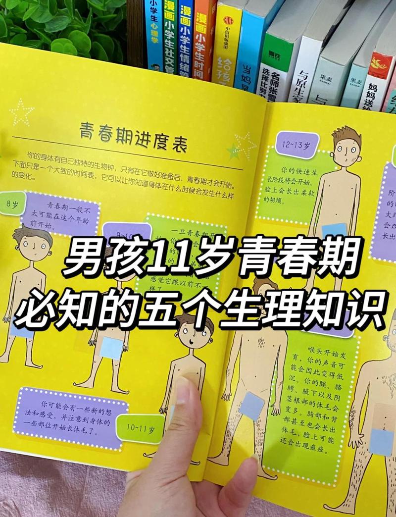 分年龄阶梯应对青春期前兆的实操指南